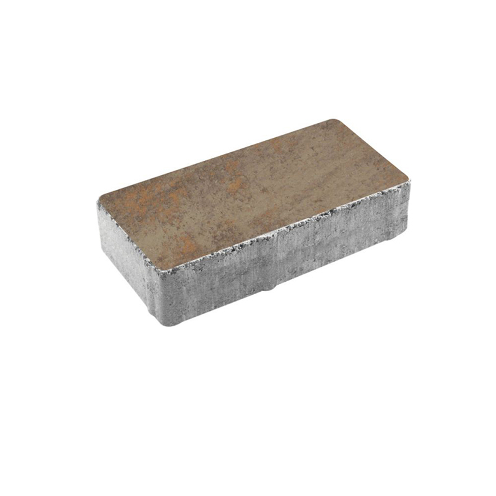 Тротуарная плитка ПРЯМОУГОЛЬНИК 200x100 мм - Листопад гладкий Клен