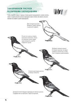 Скетчбук Создаем наброски животных и птиц шаг за шагом: 50 проектов с подробными объяснениями и рисунками