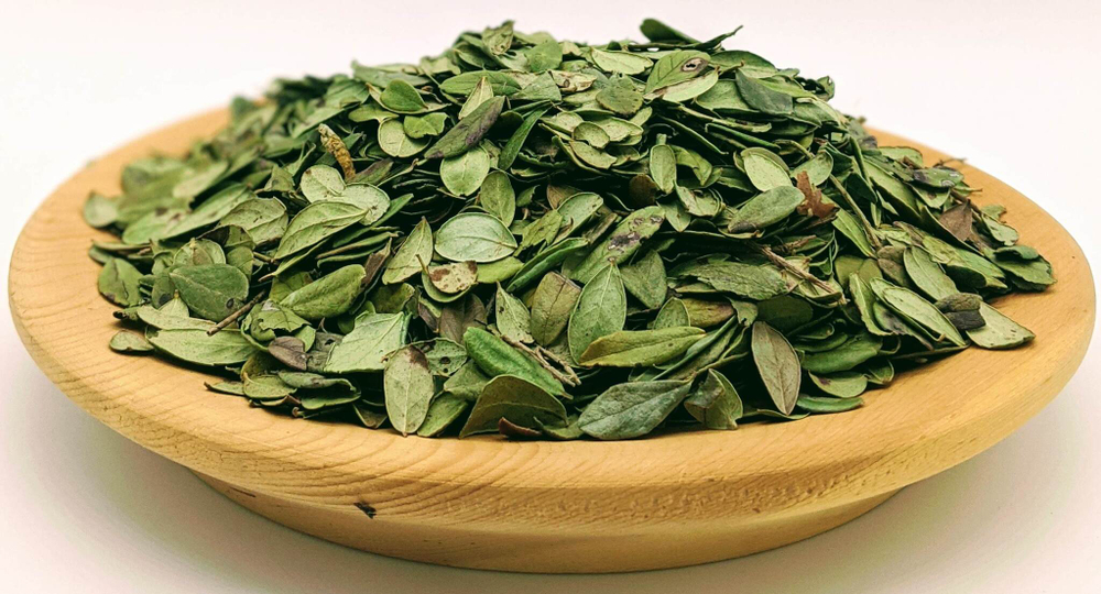 лист брусники