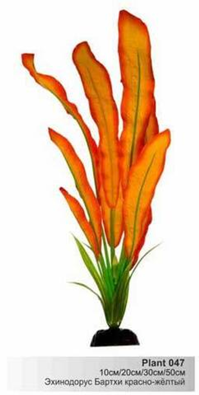 Шёлковое растение Эхинодорус Бартхи красно-желтый 10см