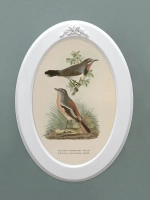 Картина на стену интерьерная на холсте 37*27 см