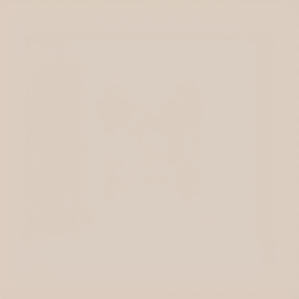 Коляска Carrello Vector CRL-6550 Nova DK791 Grey Line 3 в 1 Seashell Beige