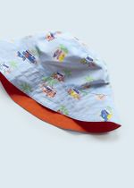 плавки с панамкой