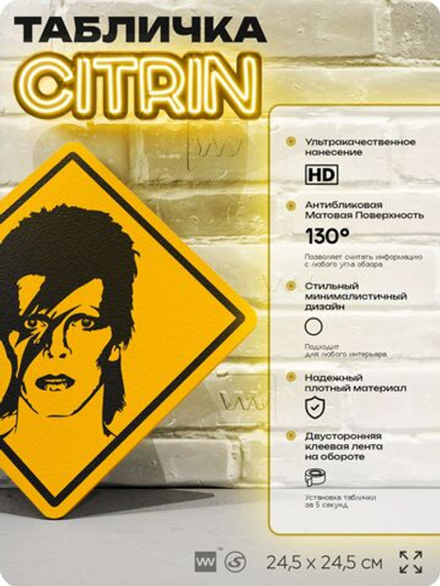 Табличка декоративная "Дэвид Боуи, David Bowie" на дверь и стену, прикольная штука в подарок, декоративный знак, 24,5х24,5 см, пластиковая, Айдентика Технолоджи