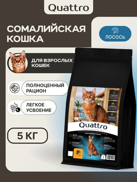 Корм сухой для взрослых кошек породы Сомалийская кошка, с лососем, 5 кг, QUATTRO