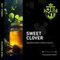 Табак для кальяна JENT (Джент) с ароматом Sweet Clover (Медовый клевер), 30 гр