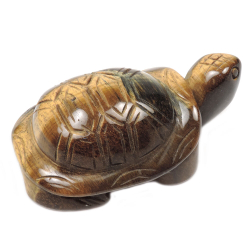 Черепаха тигровый глаз асс.