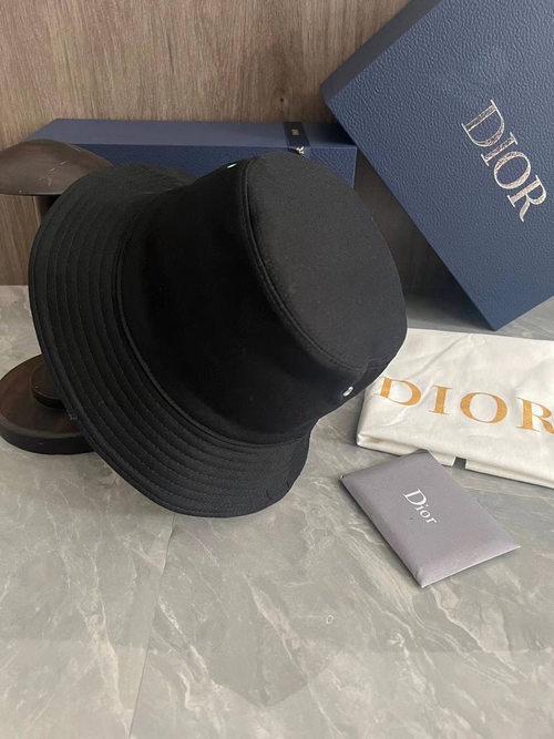 Панама Christian Dior