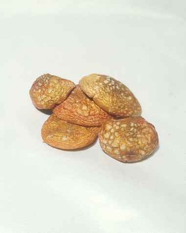 Мухомор красный шляпки ВС 2025