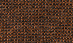 Рогожка Кассандра 04