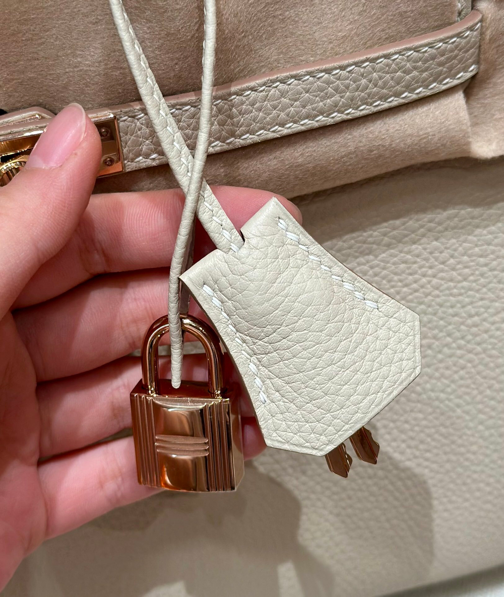 Hermes Birkin 25