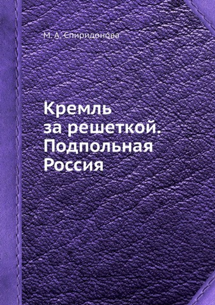 Кремль за решеткой. Подпольная Россия | М. А. Спиридонова
