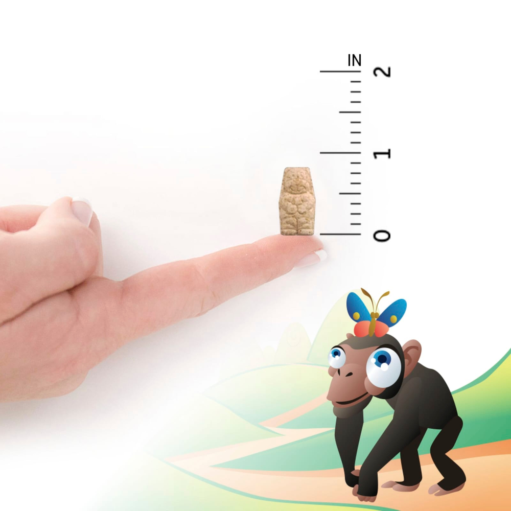 Garden of Life, Vitamin Code® Kids, жевательные мультивитамины из цельных продуктов, вишня, 60 жевательных мишек