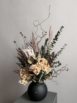 Композиция в кашпо Цинародиес