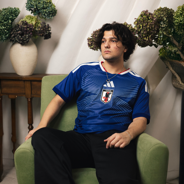 Япония / Домашняя / Игровая