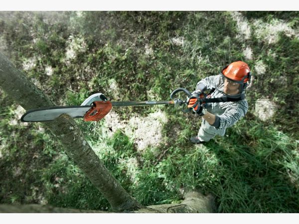 Как обрезать высокие деревья безопасно: пошаговая инструкция и советы профессионалов Как обрезать высокие деревья безопасно: пошаговая инструкция и советы профессионалов