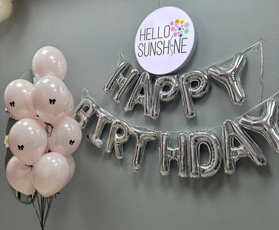 Набор шаров «HB Стильный»