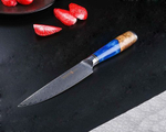 Кухонный нож универсальный Blue Resin wood VG10 SG-003
