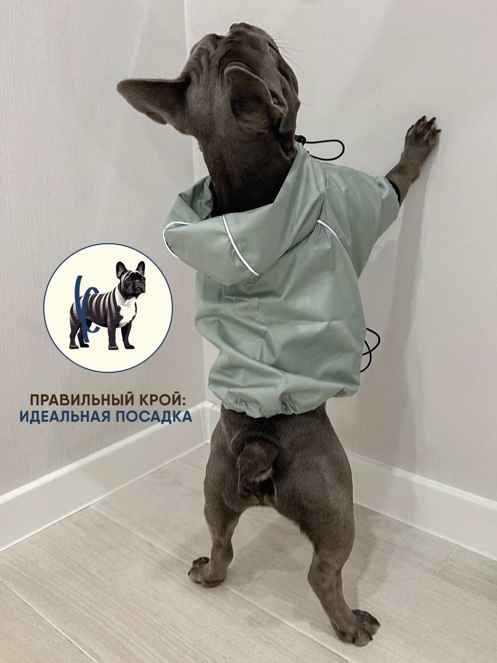 Универсальная куртка дождевик для собак Монморанси, цвет олива, размер L