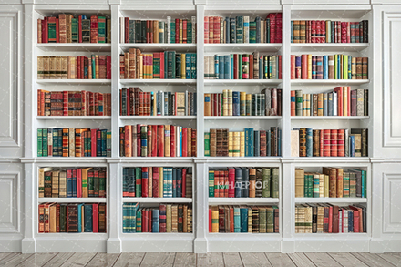 Фотофон "Библиотека" арт. ФФ905-18