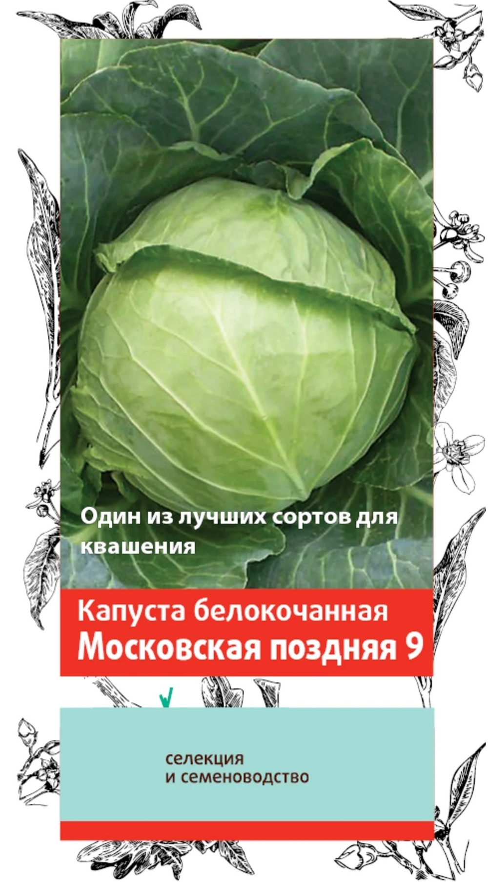 Капуста белокочанная Московская поздняя 9
