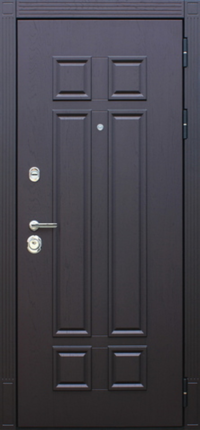 Стальная дверь "Виват". Заказная модель.