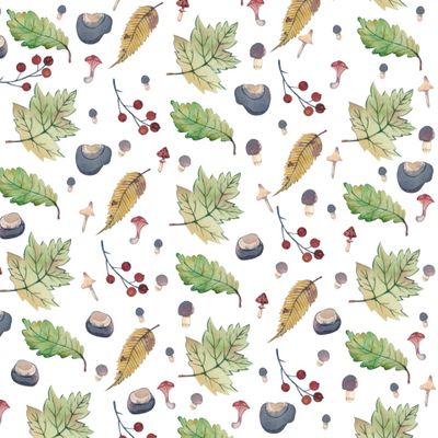 Осенние листья на белом фоне.