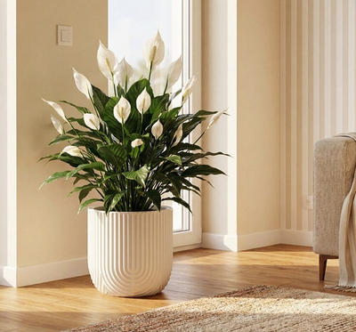 Кашпо РАМОНА D280 мм 7,8 л со вставкой 28*28*25,5см М3263