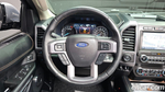 Ford Expedition Platinum 4WD (10.2021)