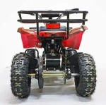 Электроквадроцикл Green Camel Гоби K31 (36V 800W R6 Цепь) ножной тормоз