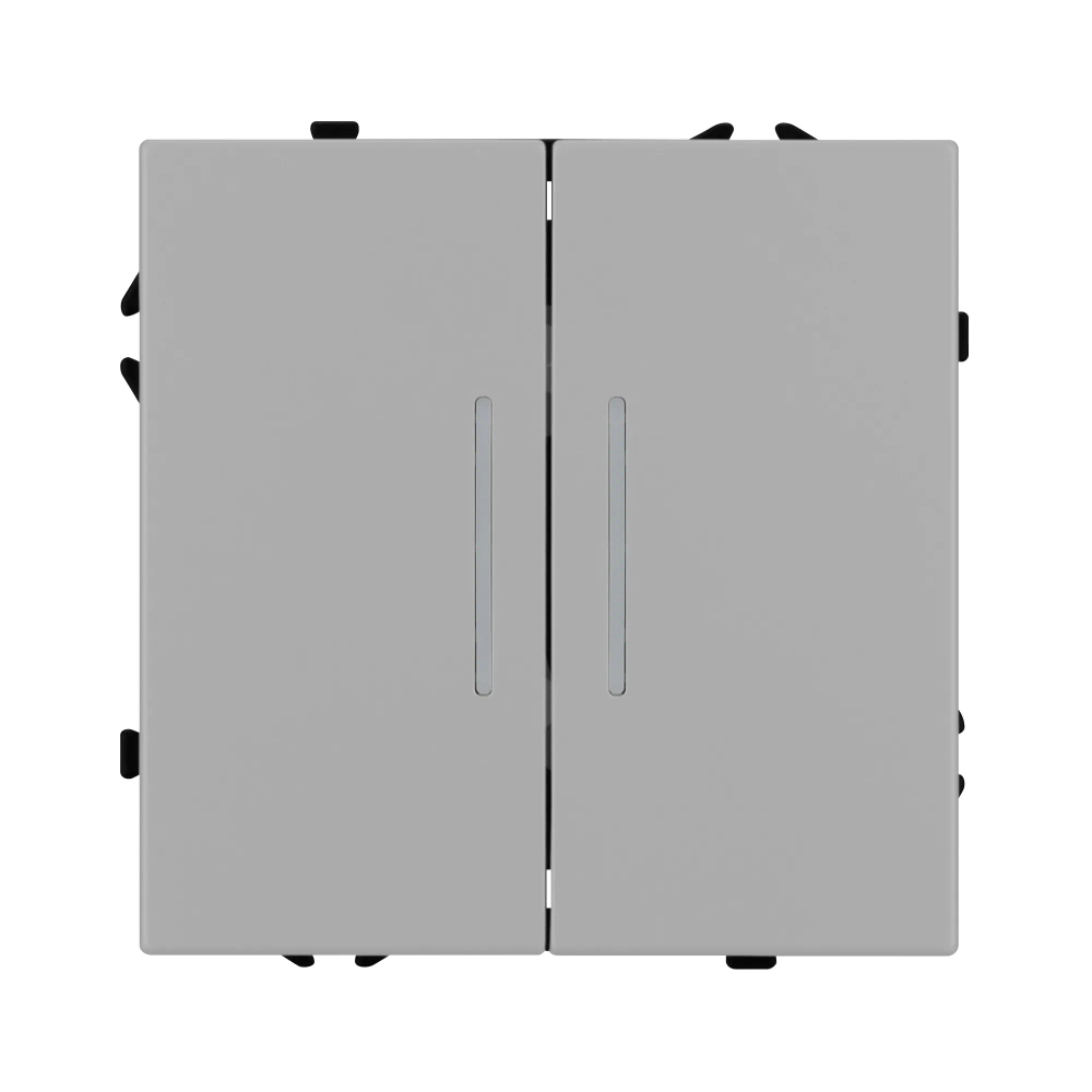 Механизм выключателя двухклавишный непроходной LED SWT-NOBE-MK02-SFPL-L-IS (230V, 10A) (Arlight, -) 059418