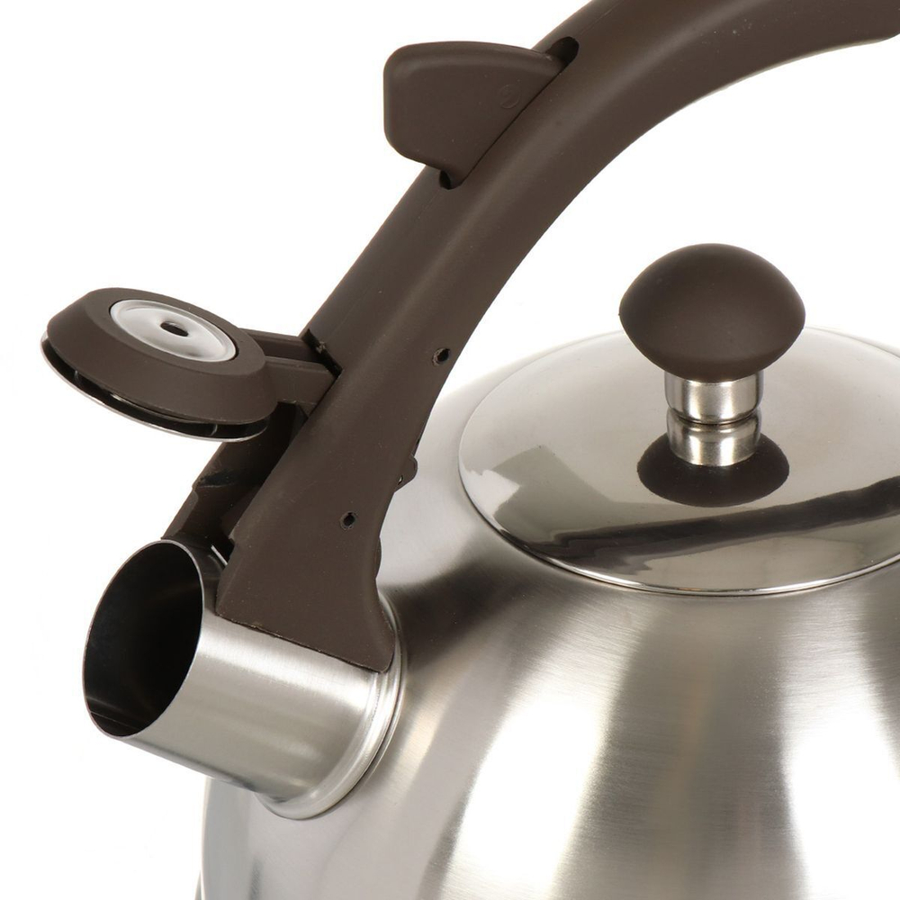 Чайник нерж, 2.5 л, свист, ручк бакелит, с силик покр, Daniks, Бруно, индукц, MSY-066C