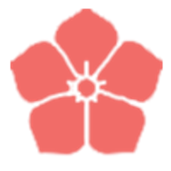 Новинки Нижнего белья: от 65А до 110G