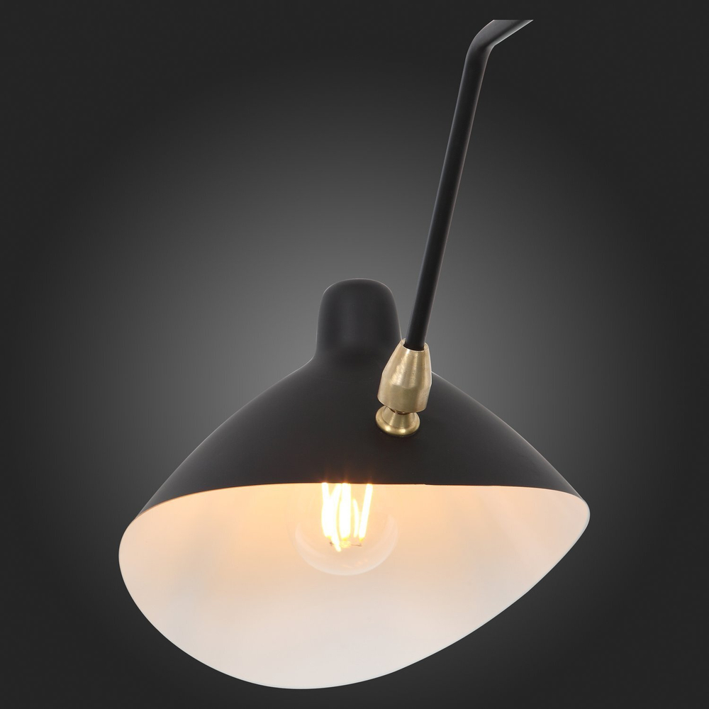 Люстра потолочная ST Luce Spruzzo SL305.402.03