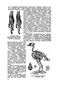 Сокола-кречеты | Г. П. Дементьев