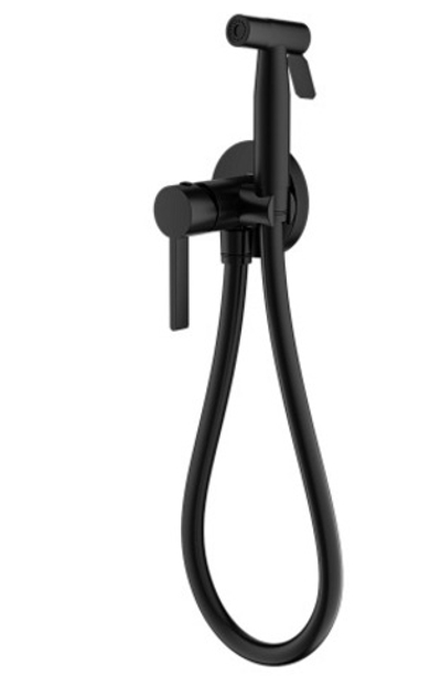 Смеситель с гигиеническим 
душем встраиваемый S221.52.06