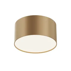 Потолочный светильник Зон / Zon 12 Вт 4000 К 120° Technical c032cl-12w4k-rd-mg