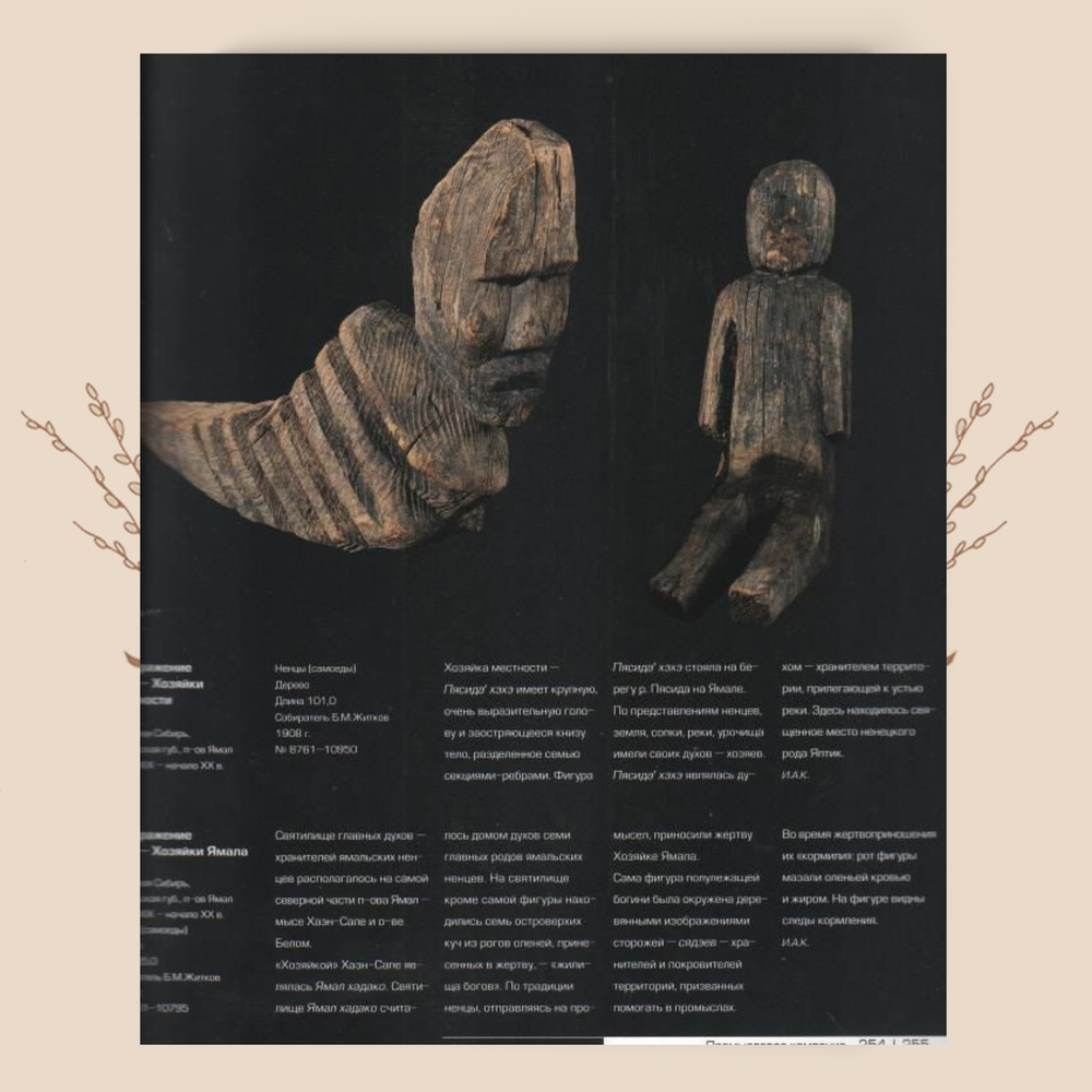 На грани миров. Шаманизм народов Сибири