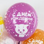 Шар (12"/30 см) С Днем Рождения! (милые котята), Ассорти, пастель, 5 ст 25 шт.