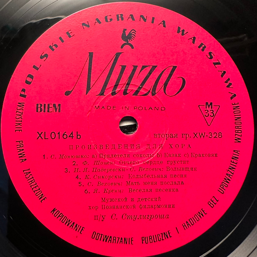 Хор мальчиков и мужчин Государственной филармонии в Познани (Польша)