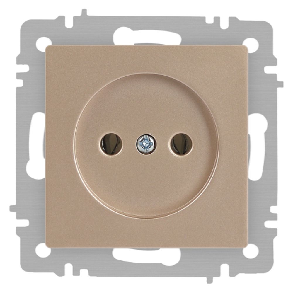Розетка Intro Accent 6-201-04 2P 16А-250В IP20 СУ AL/CU шампань | Intro