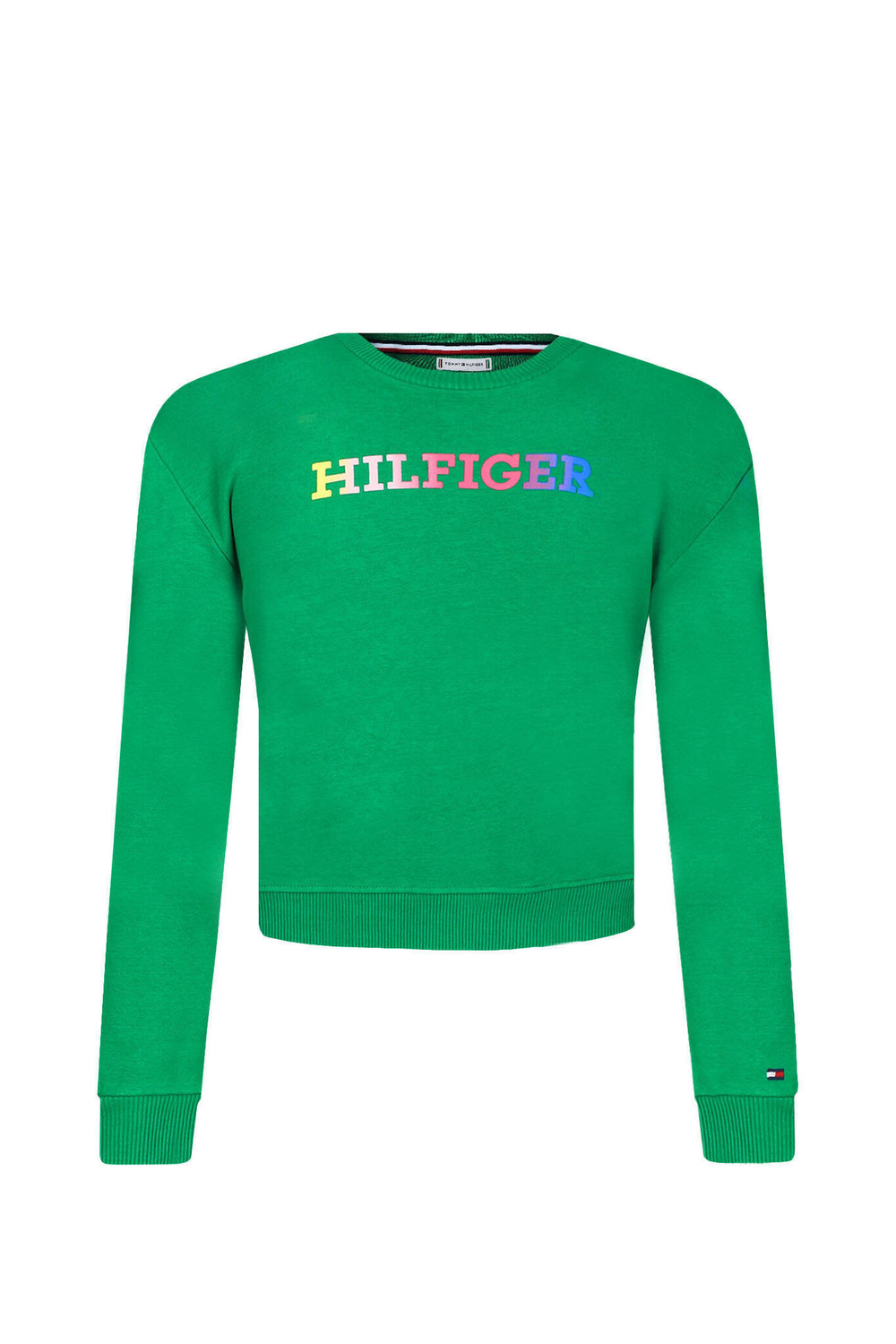 Худые MONOTYPE SWEATSHIRT Tommy Hilfiger - зеленый(KG0KG07887)