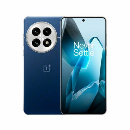 OnePlus 13 (CPH2655/CPH2653/PJZ110)