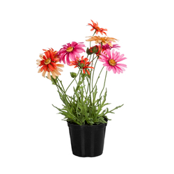 Искусственный цветок Маргаритка в горшке Silk-Ka 102686