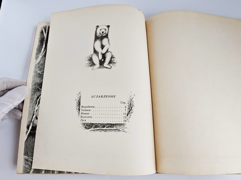 "Мишкины соседи. Стихи для маленьких". Александрова З. Н. 1937 г.