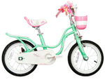 Детский велосипед Royal Baby Little Swan 18" (2024)