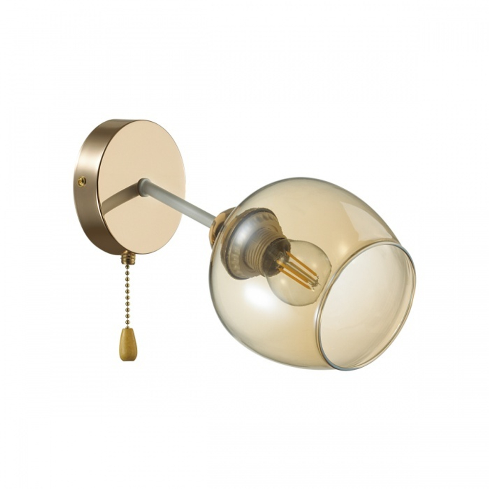 Настенный светильник Lumion ODELL 5650/1W