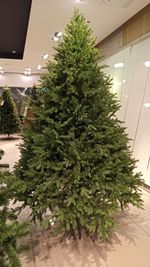 Искусственная ель «Берген» (Литая хвоя) 210 см / 2.1 м