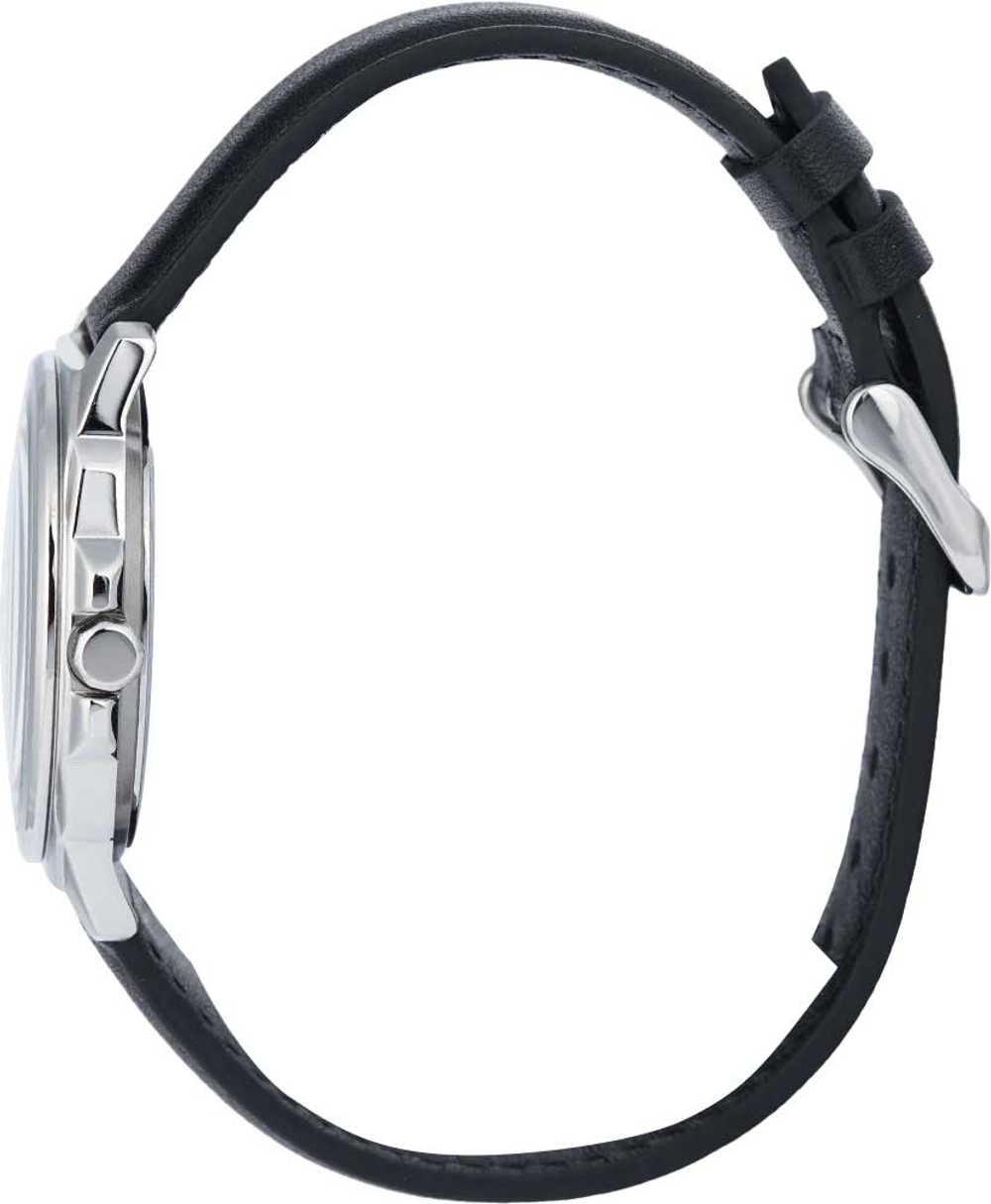 Часы Casio MTP-E720L-1A
