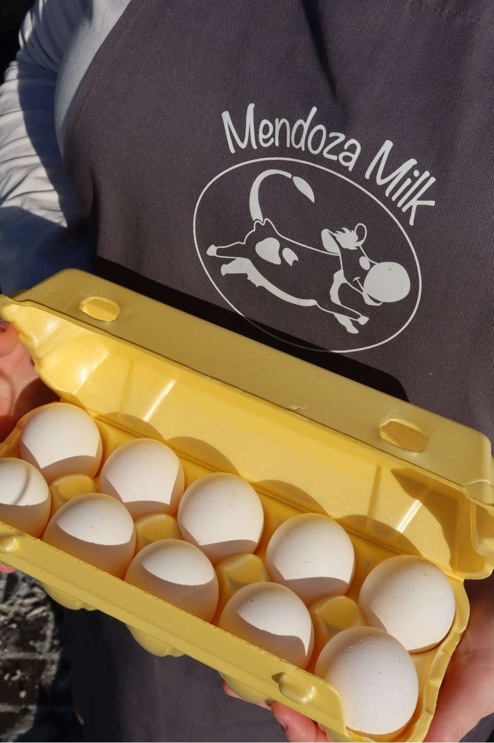 Яйцо фермерское 10шт